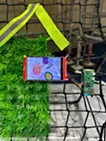 flotsam#11(rebound net)