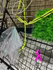 flotsam#11(rebound net)