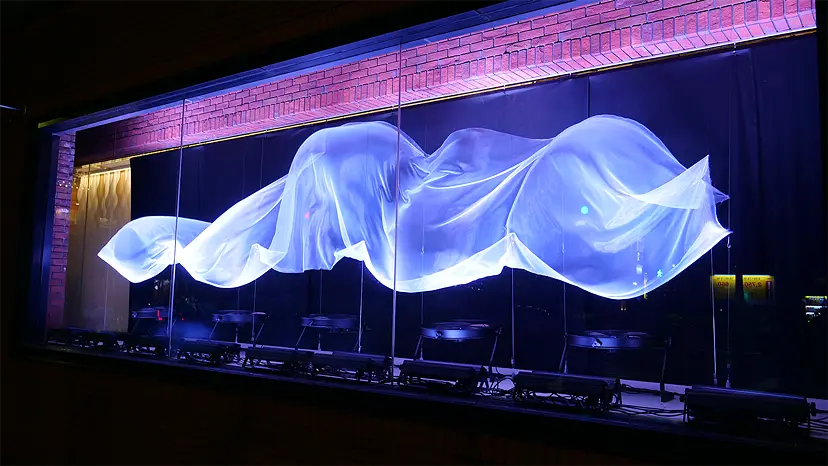 アート・デザイン・音楽 WING SHYA distraction / attraction distraction / attraction / wing shya | 百年