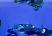 Drawing/Underwater