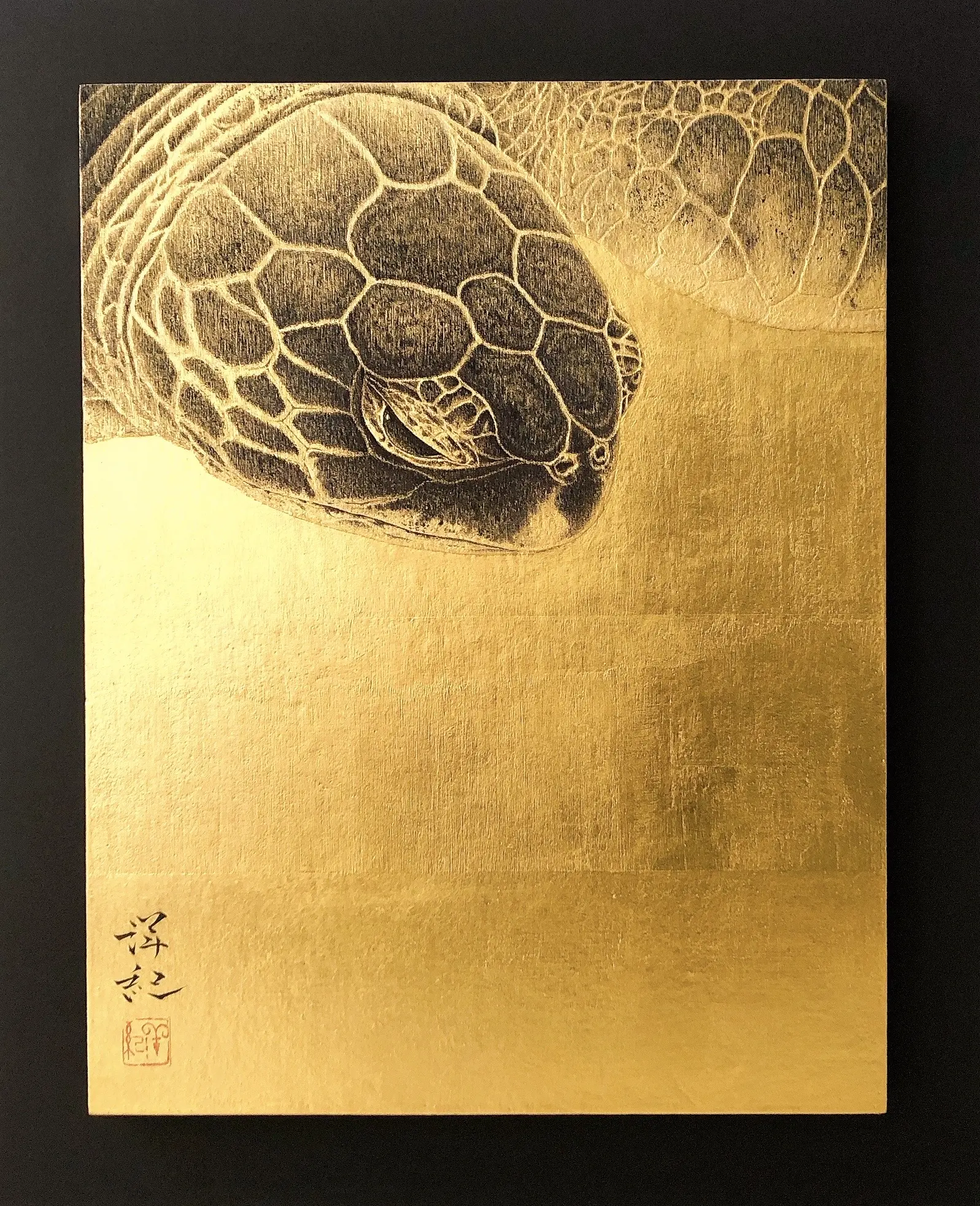洋洋