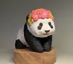 花咲けるパンダ