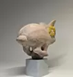 花咲けるウサギ