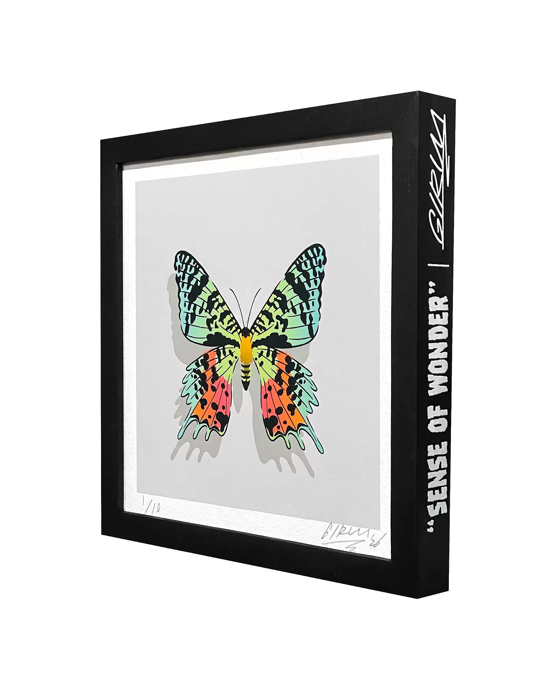 Chrysiridia #1 by GIRUVI | 現代アートの販売・通販 | ArtSticker