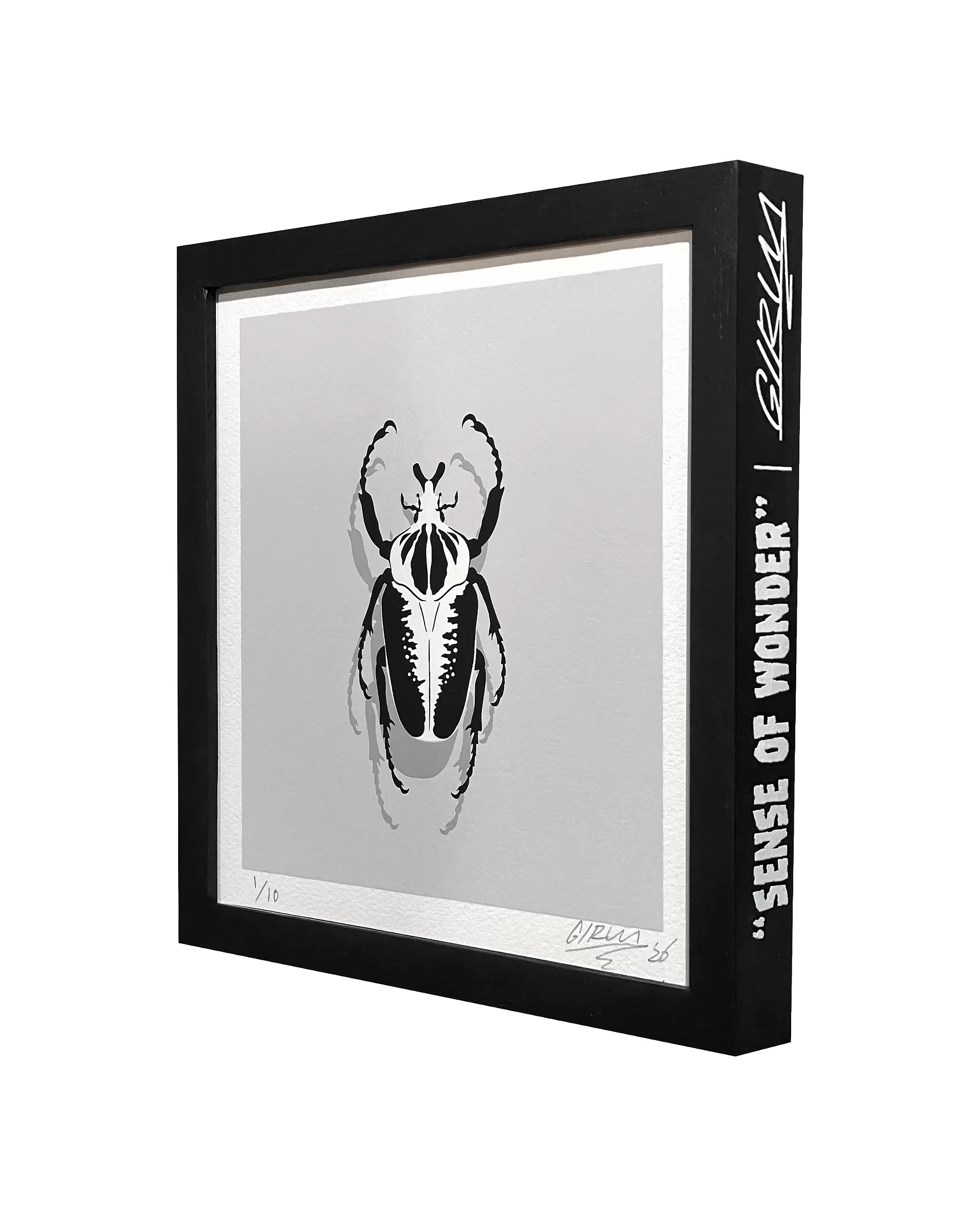 Goliathus #1 by GIRUVI | 現代アートの販売・通販 | ArtSticker