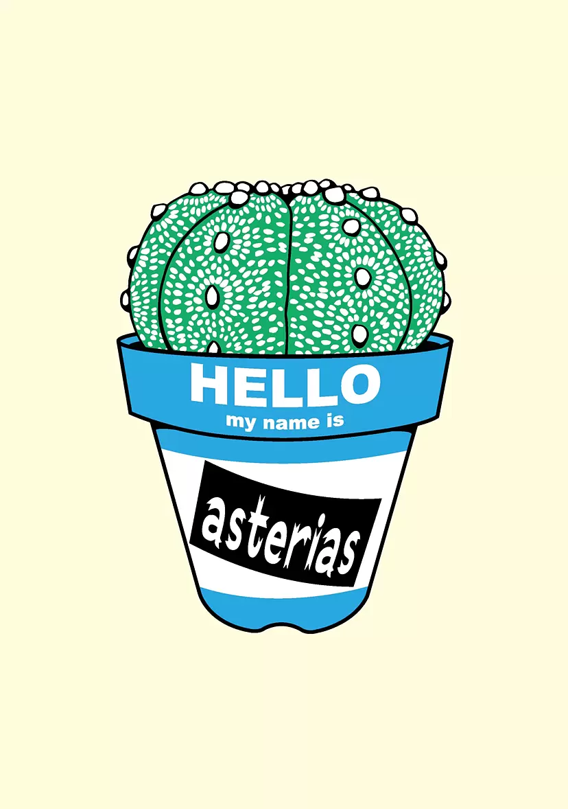  Astrophytum asterias by GIRUVI