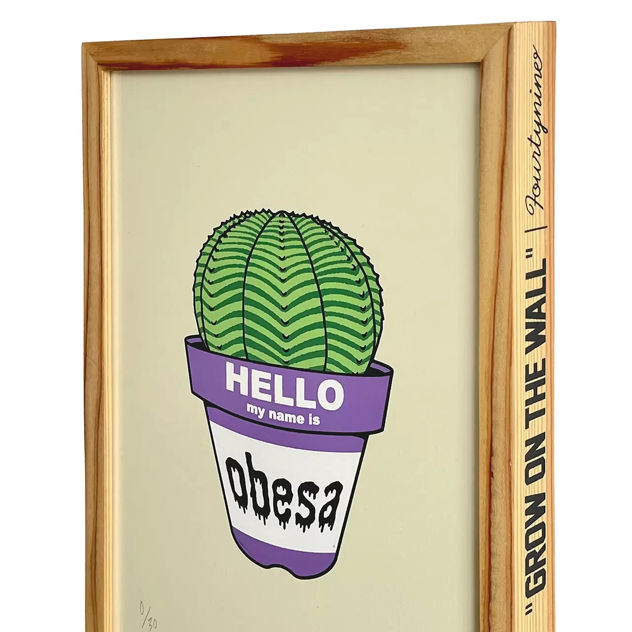 Euphorbia obesa by GIRUVI | 現代アートの販売・通販 | ArtSticker