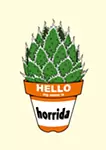 Agave horrida
