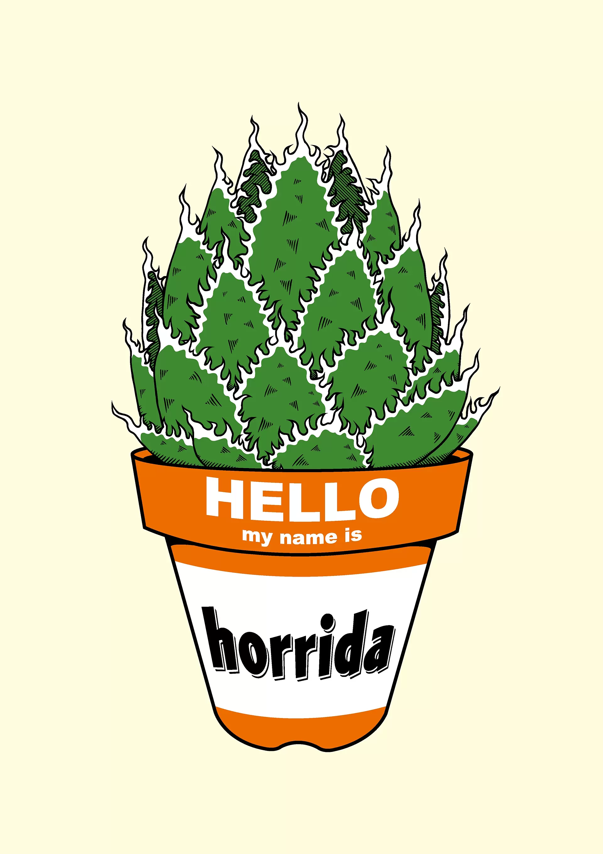 Agave horrida