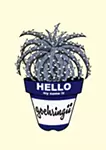Dyckia goehringii