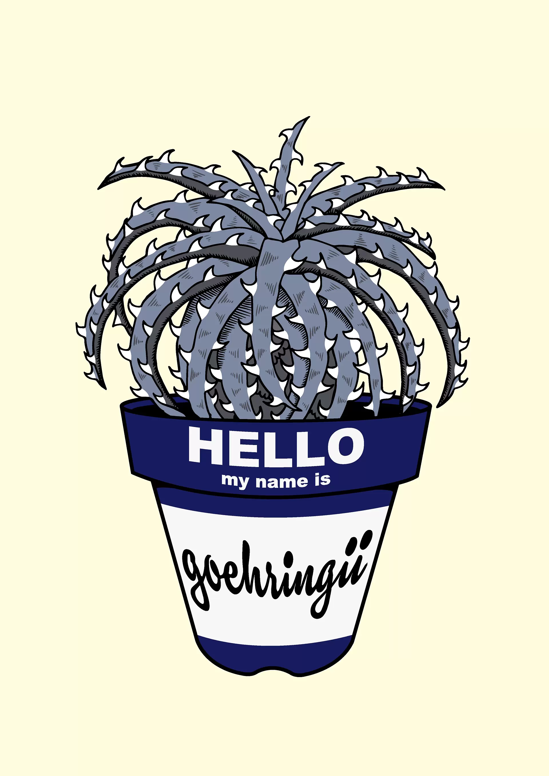 Dyckia goehringii