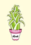 Hohenbergia 'Karla'