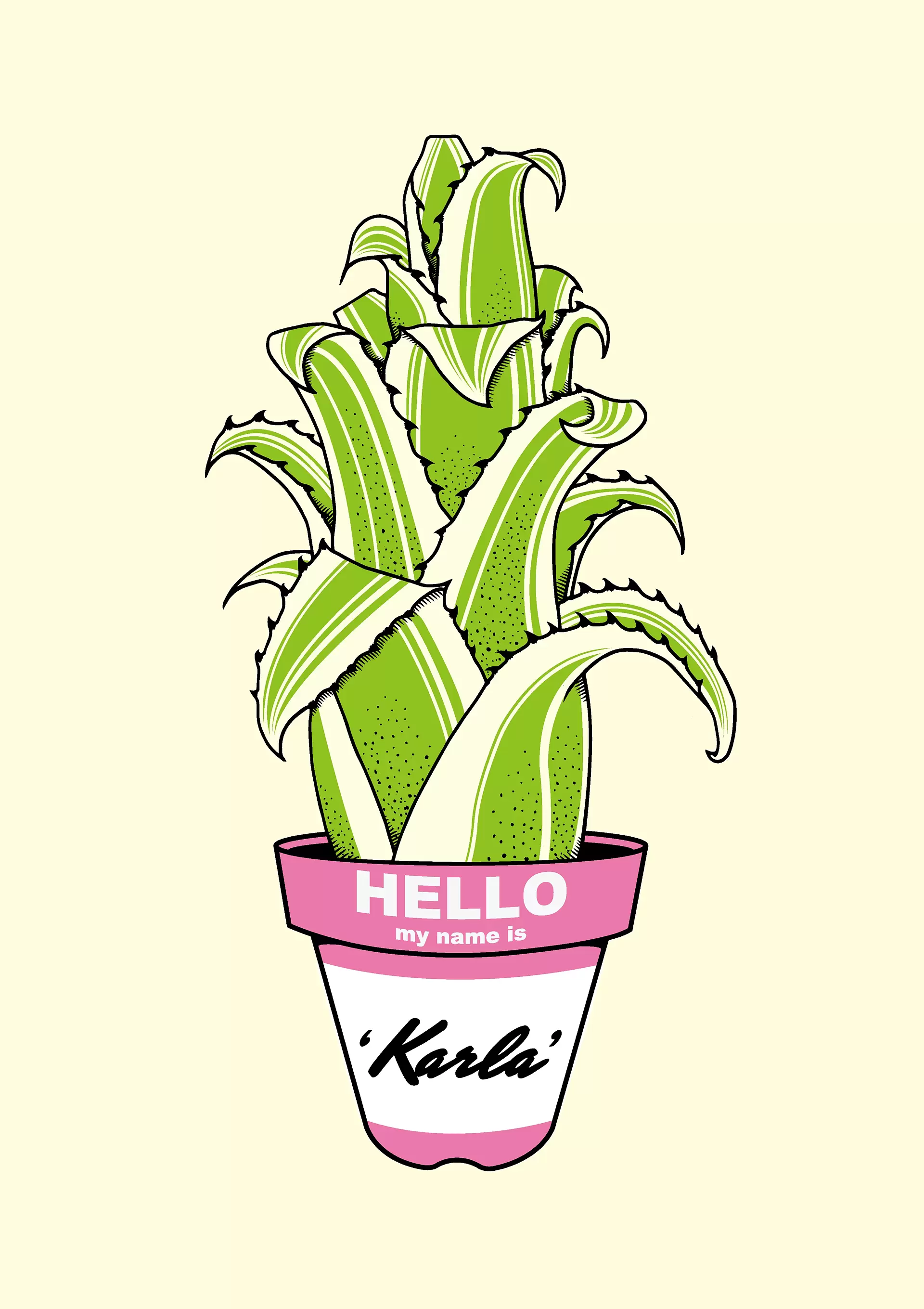 Hohenbergia 'Karla'