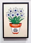 Tulipa 'Alba coerulea Oculata'