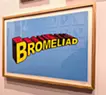 BROMELIAD