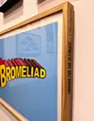 BROMELIAD