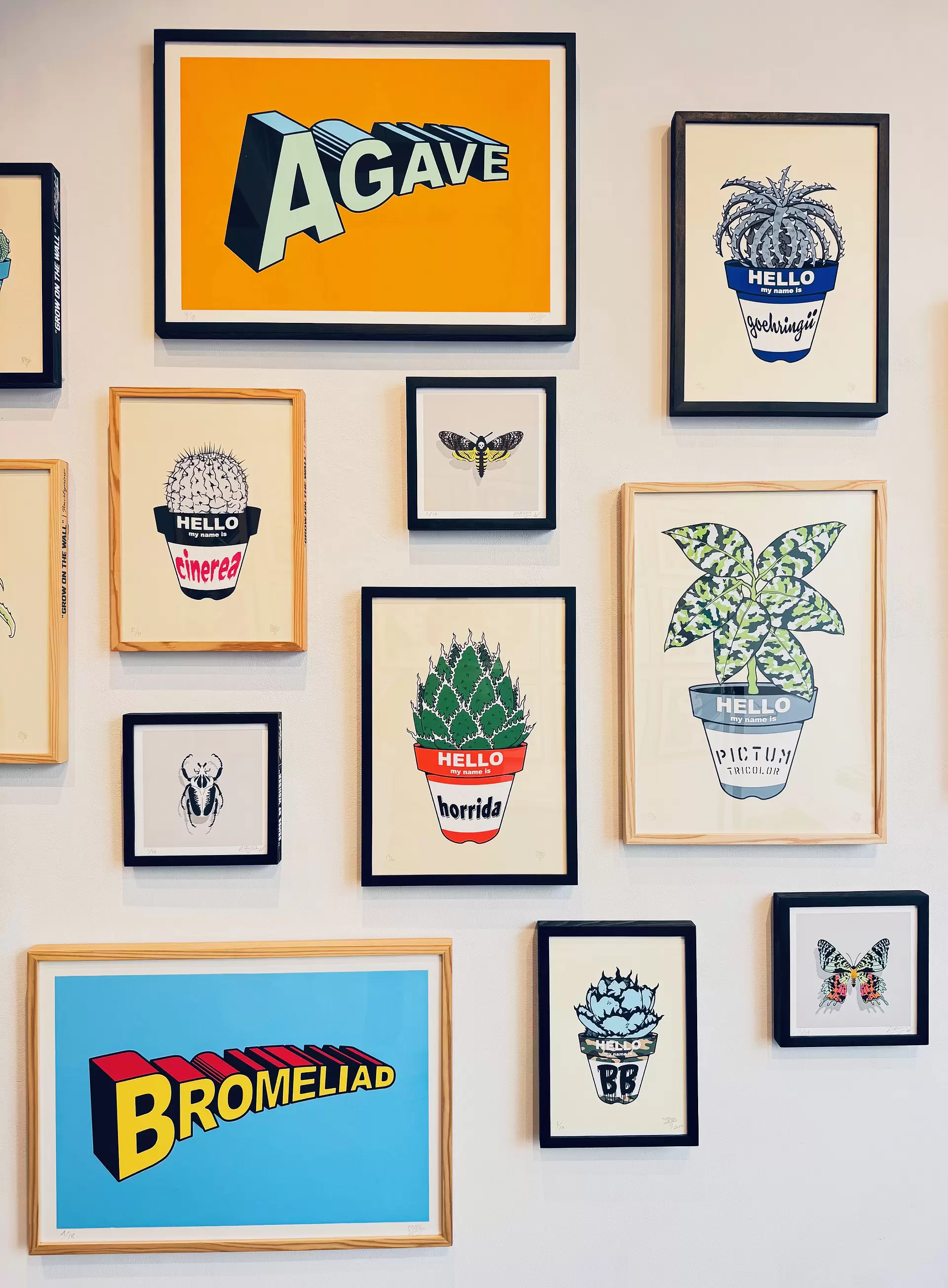AGAVE by GIRUVI | 現代アートの販売・通販 | ArtSticker