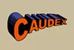 CAUDEX
