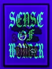 CHAPTER 5