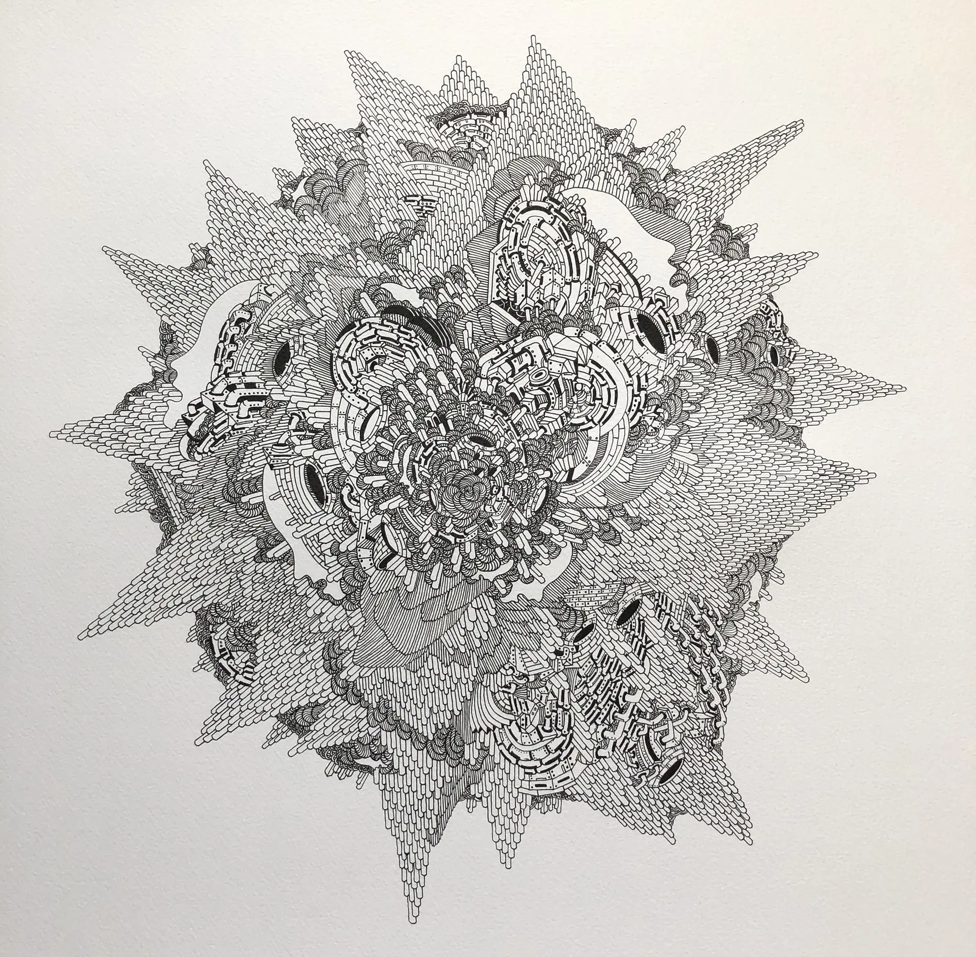 Cell
