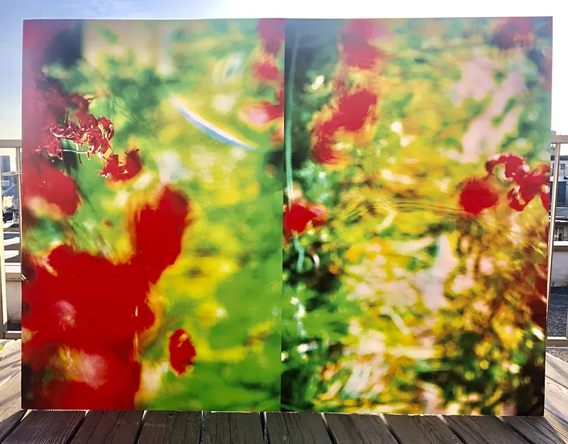 future 未来の形　02 work in progress by 田中亜紀 （AKITANAKA ）　ぷらっとphoToほーむ（PlaTphoToHome）