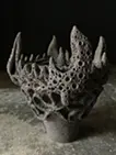 兼藤流火焔縄文土器