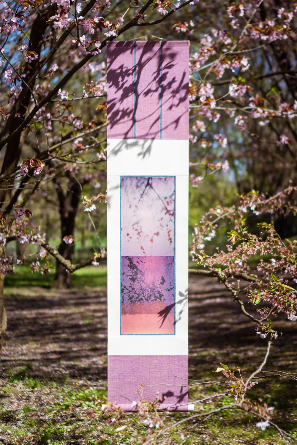 春告草 - scent of spring