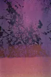 春告草 - scent of spring