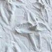 Japanese paintingｰ星に方解末-