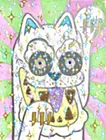 超白招キ猫様