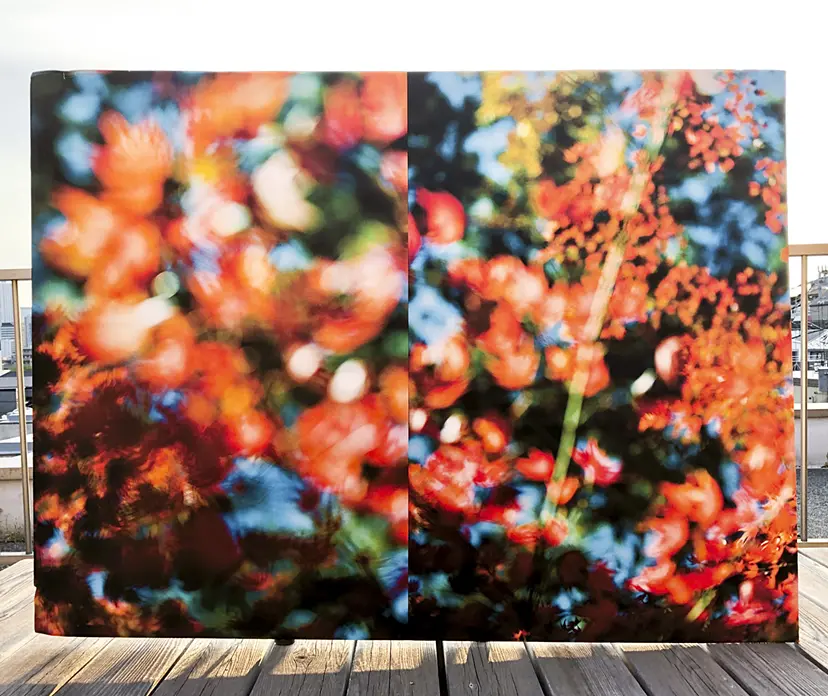 future 03  未来の形 work in progress by 田中亜紀 （AKITANAKA ）　ぷらっとphoToほーむ（PlaTphoToHome）