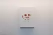 document / skin