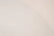2022 年 5 月 27 日水產魚互動