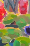 花畑