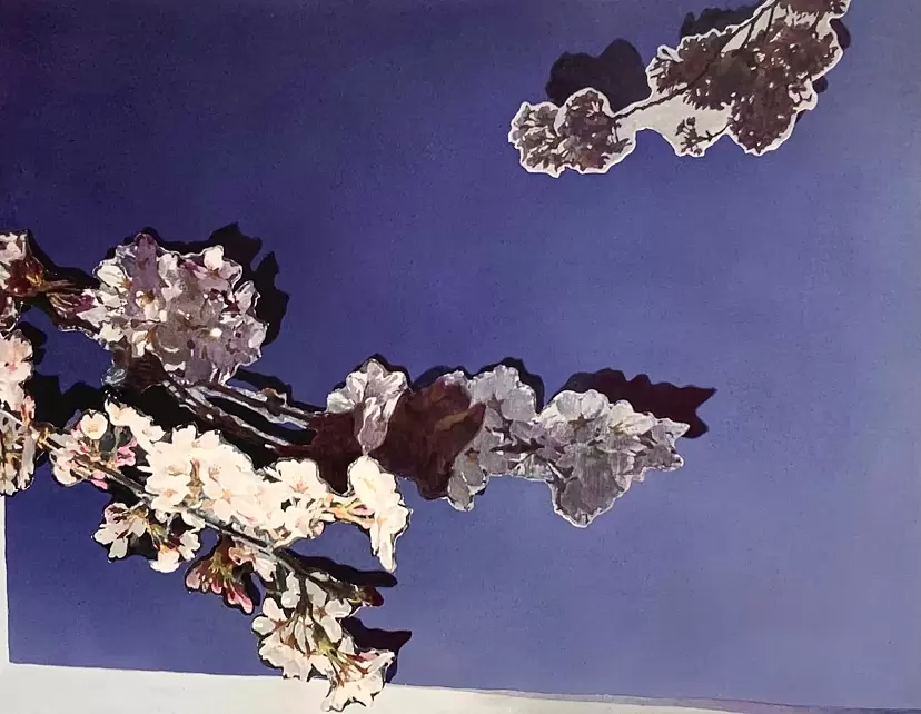 Picture Arrangement/Sakura by 大嶋 直哉
