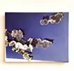 Picture Arrangement/Sakura