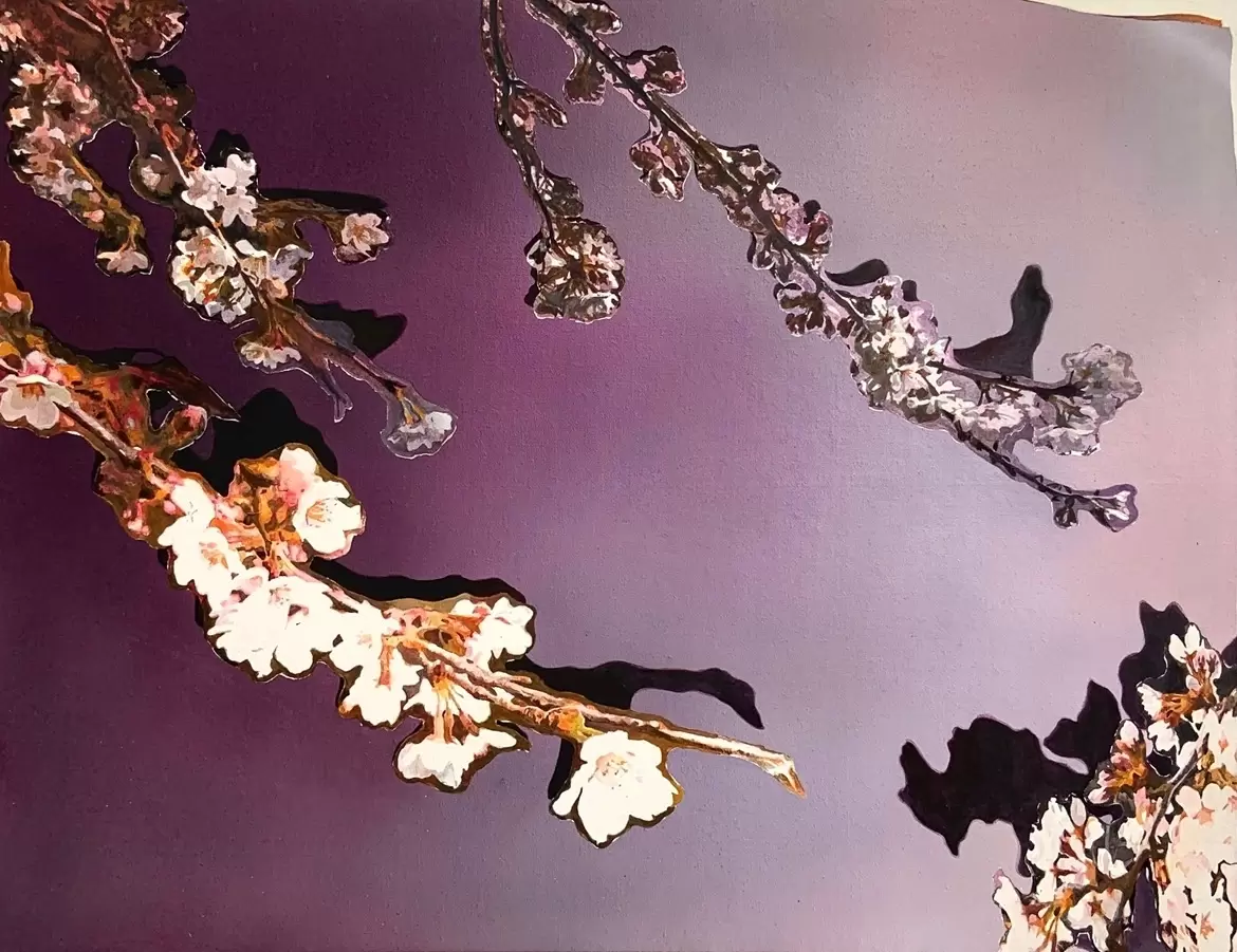 Picture Arrangement/Sakura
