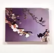 Picture Arrangement/Sakura