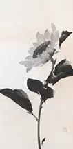 陽光向日葵