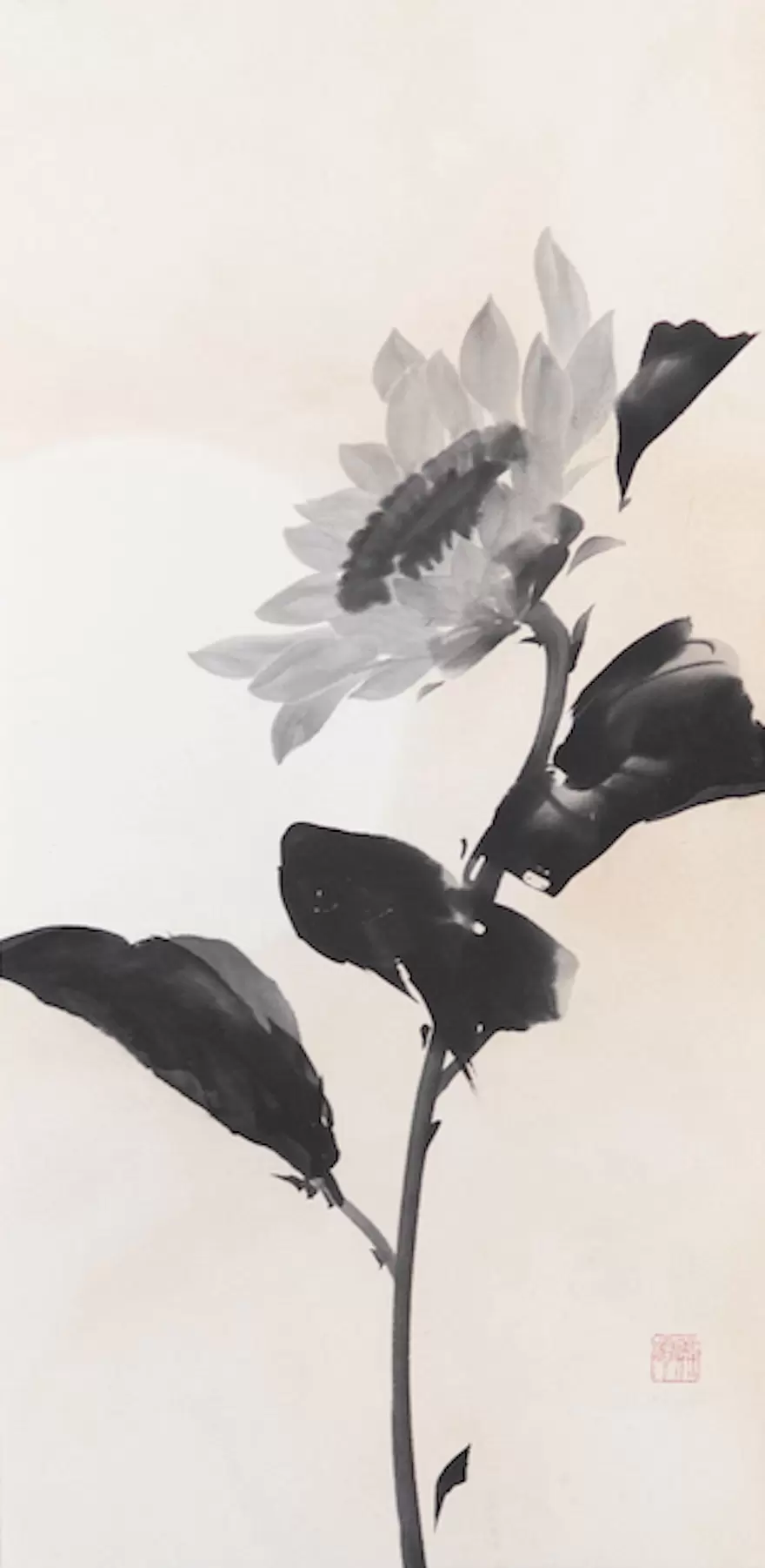 陽光向日葵