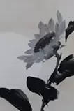 陽光向日葵