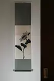 陽光向日葵