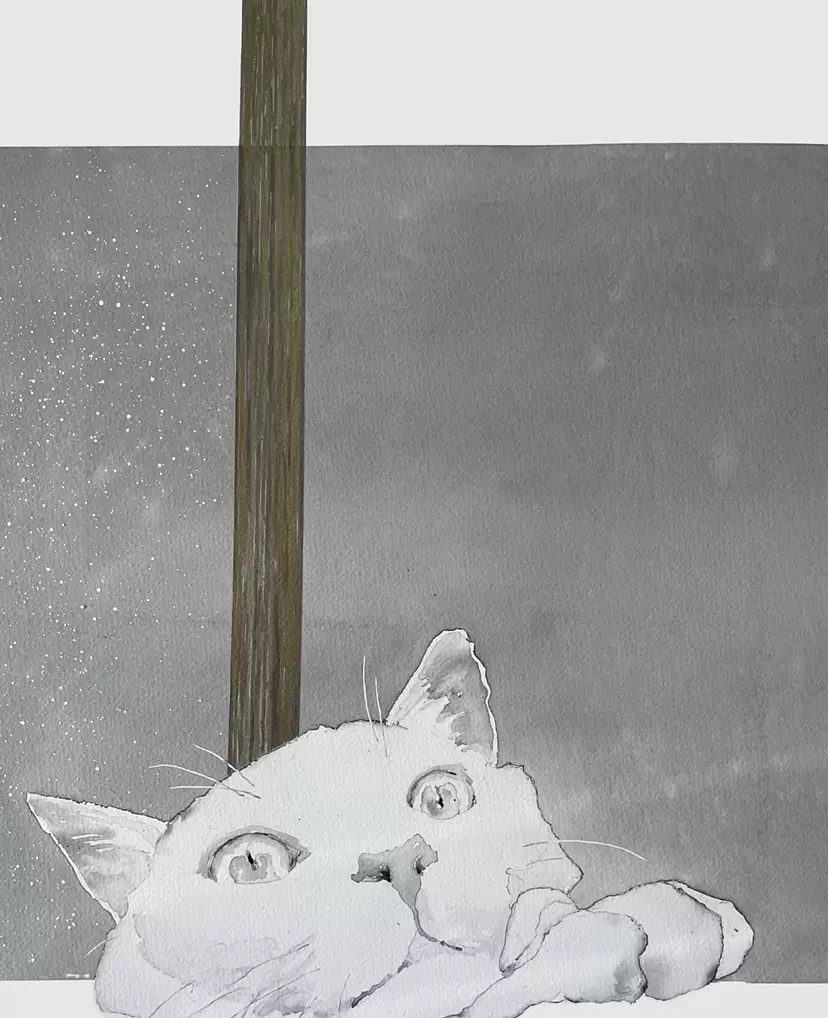 猫 雪 by 27wtc
