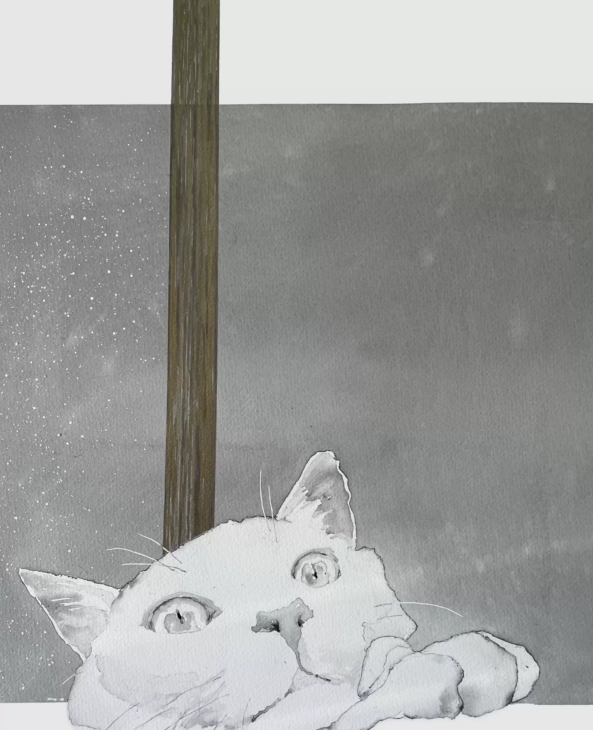 猫　雪