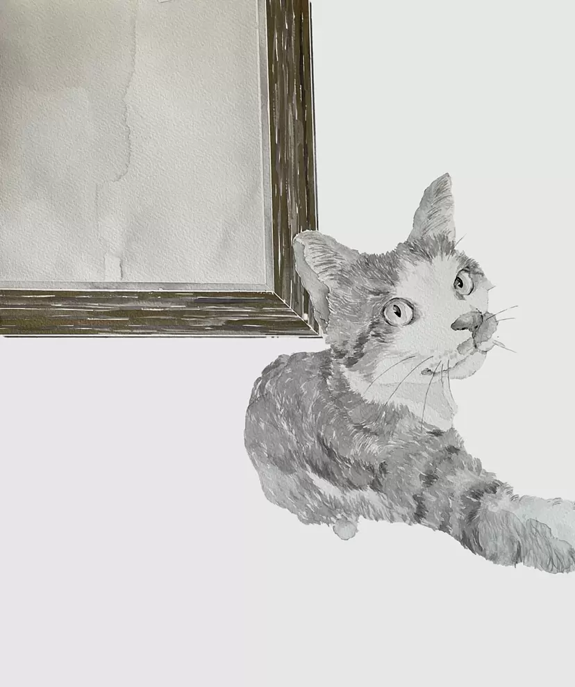猫 by 27wtc