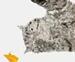 猫　折り鶴