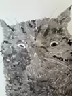 猫　折り鶴