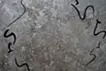ra
