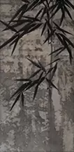 竹木洩れ陽