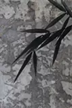 竹木洩れ陽